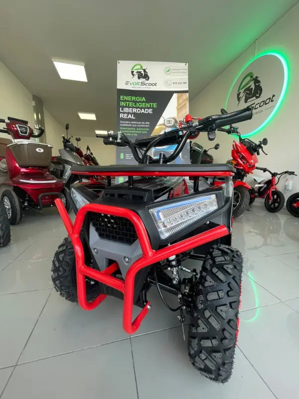 Tesoro MINI MOTO4 500V 500W NOVO 1
