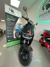 Ecooter M1 250W