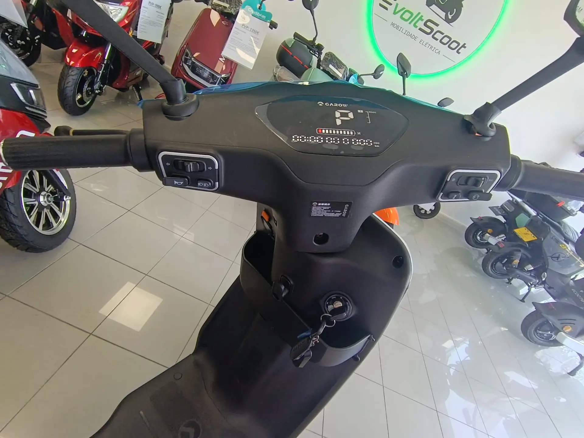 Garow TZ100 250W NOVO 3