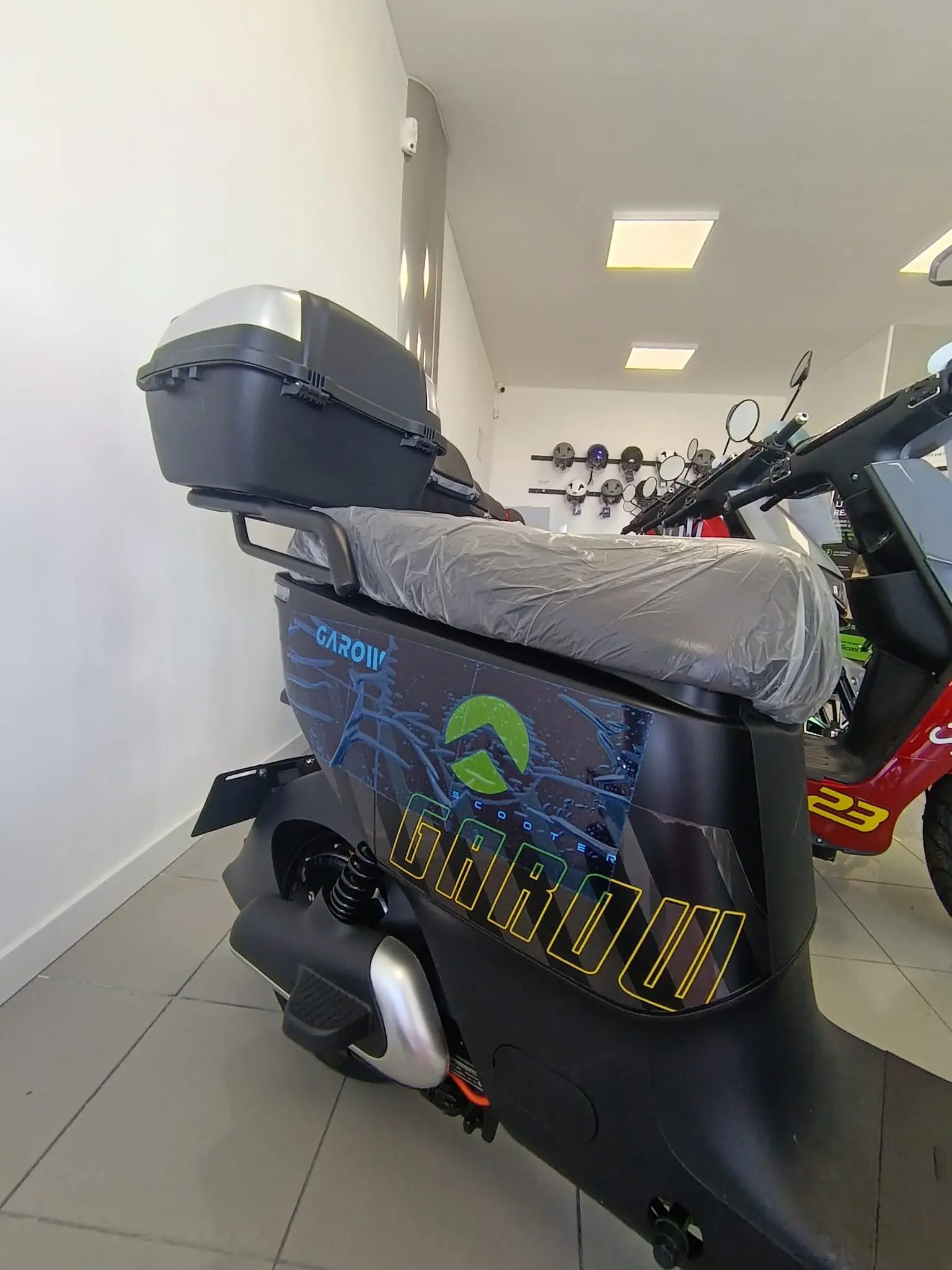 Garow TZ100 250W NOVO 2