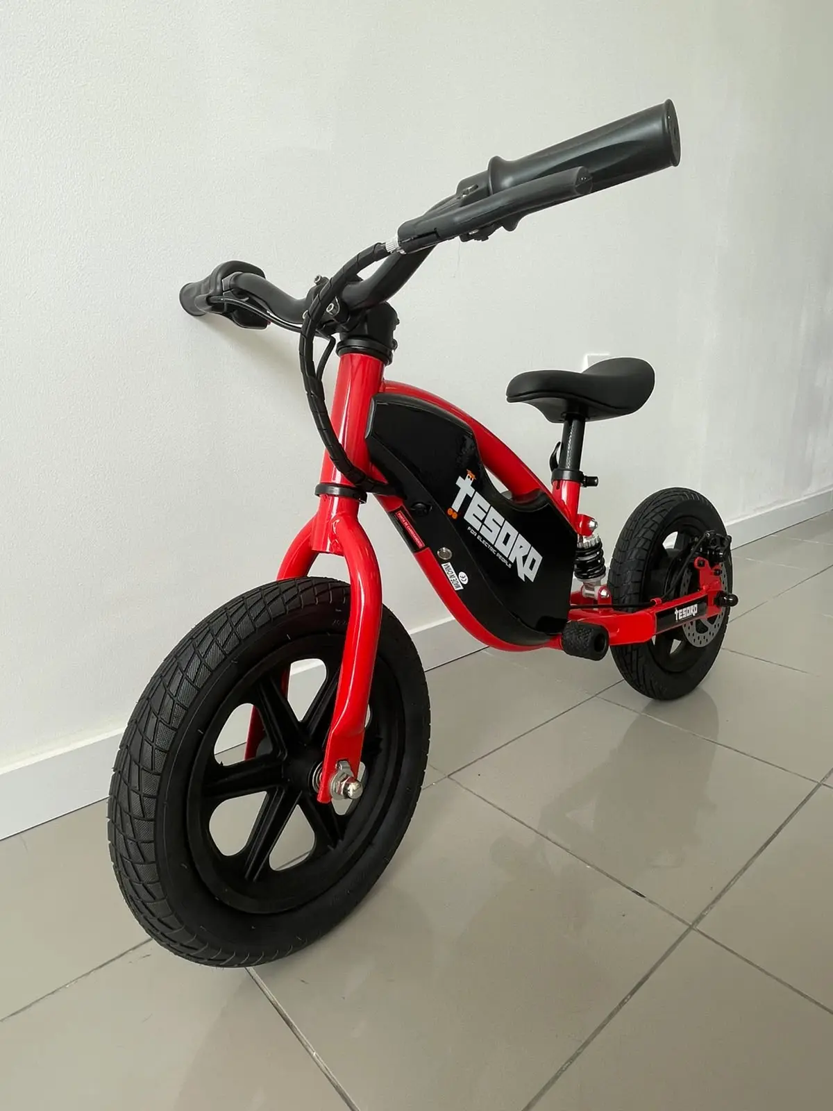 Tesoro BICICLETA EQUILÍBRIO BB1-C 100W 2