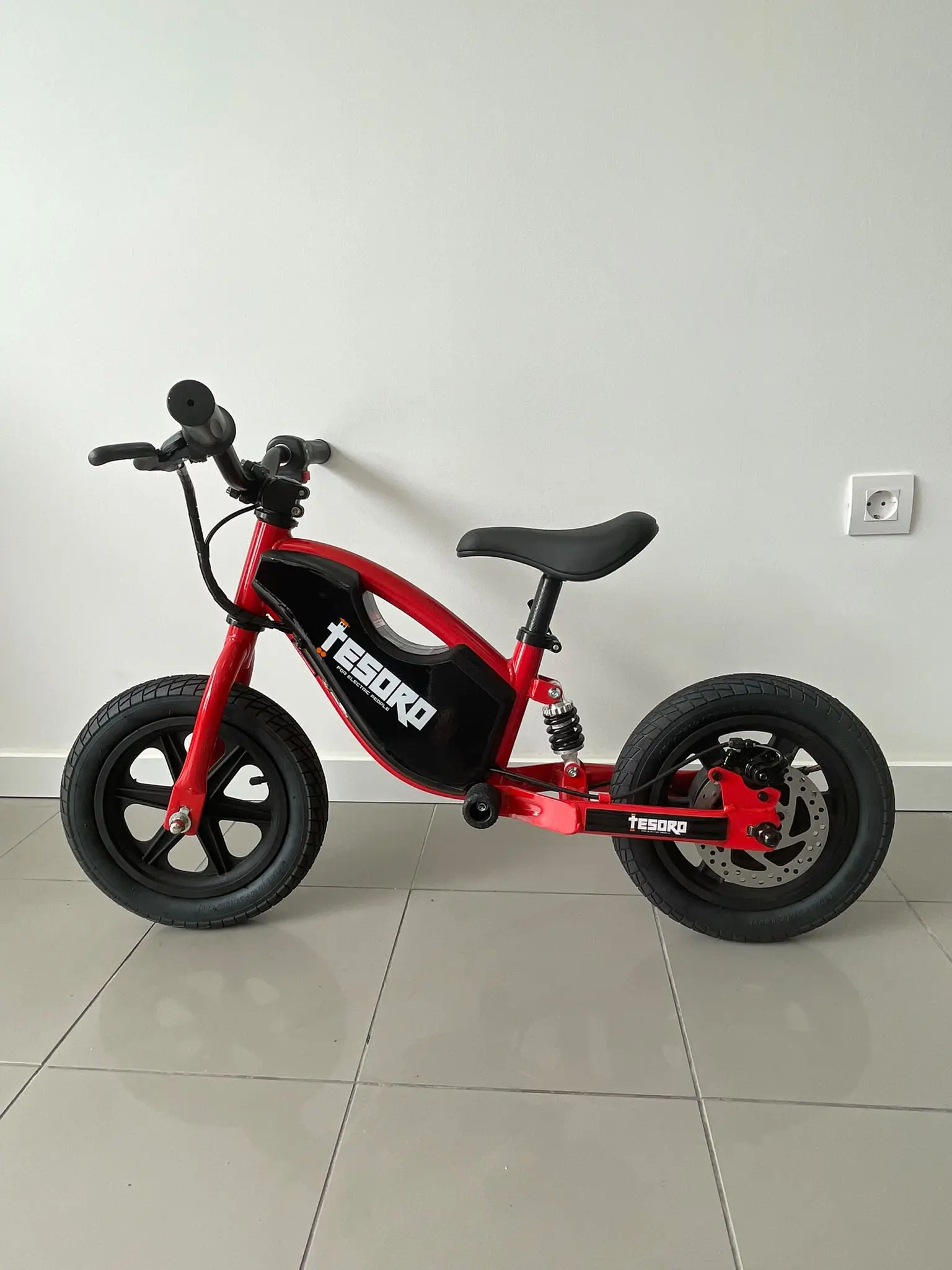Tesoro BICICLETA EQUILÍBRIO BB1-C 100W 1