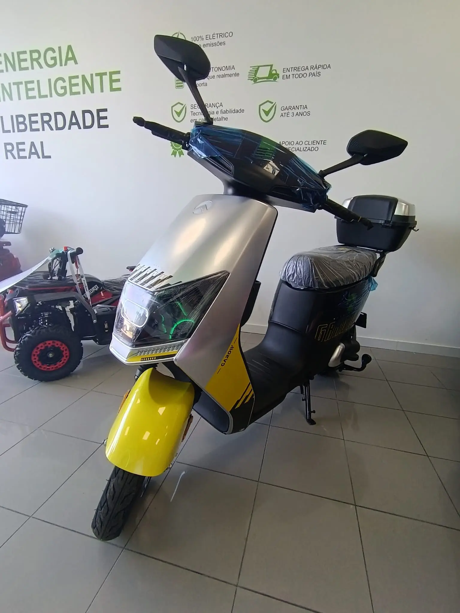 Garow TZ100 250W NOVO 4