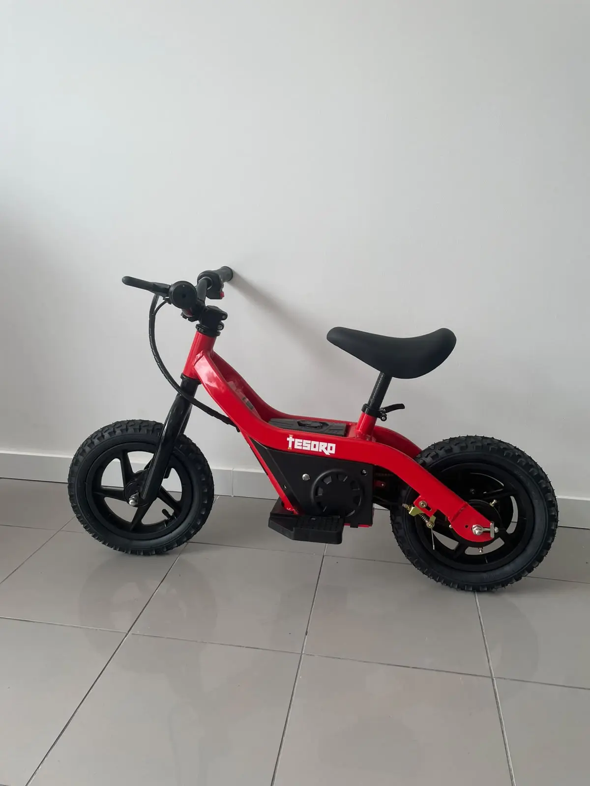 Tesoro BICICLETA EQUILÍBRIO BB1-C 100W NOVO 1
