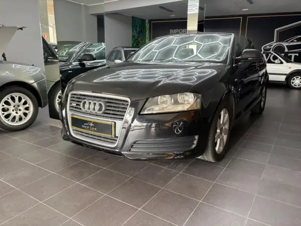 Audi A3 Cabrio 1.6 TDI (clean diesel) Attraction 15