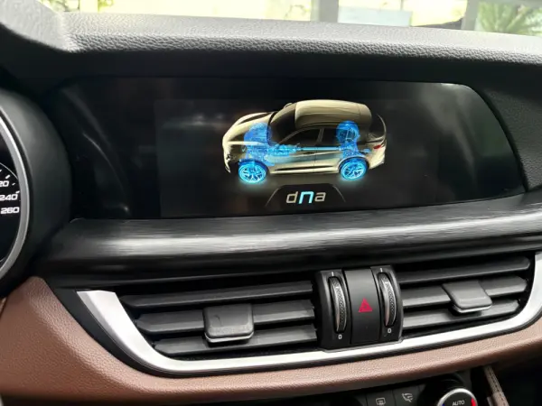 Alfa Romeo Stelvio 2.2 D Super AT8 20