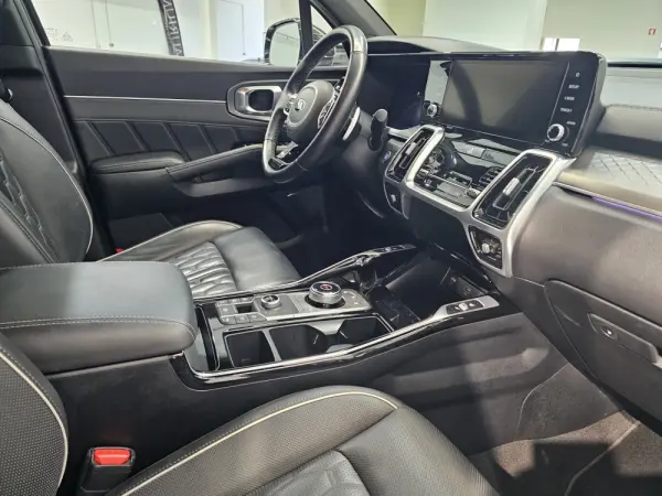 Kia Sorento 1.6 T-GDI PHEV AWD Aut. Platinum 19