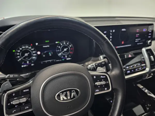 Kia Sorento 1.6 T-GDI PHEV AWD Aut. Platinum 20