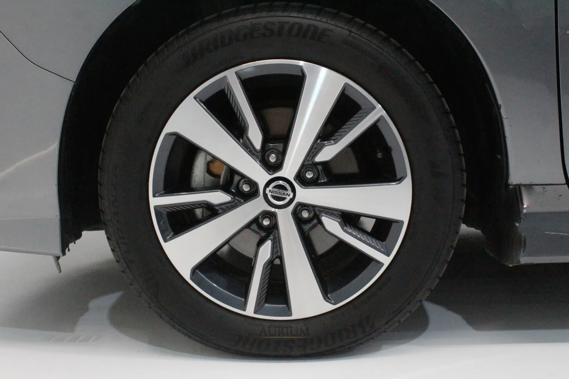 Nissan Leaf N-Connecta 18