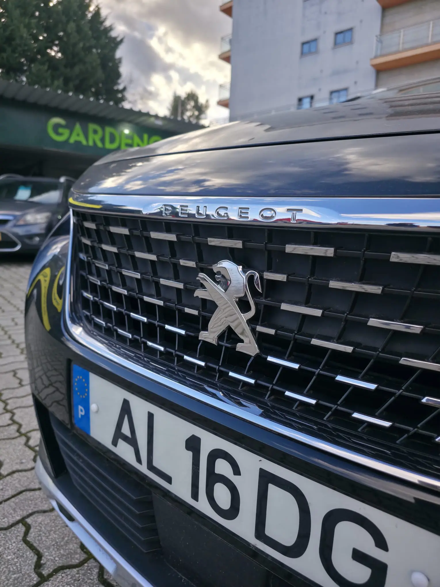 Peugeot 3008 3008 Automático 3