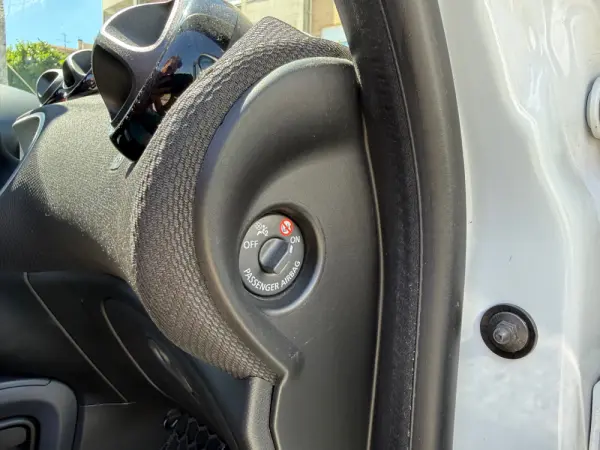 Smart ForFour EQ prime 29