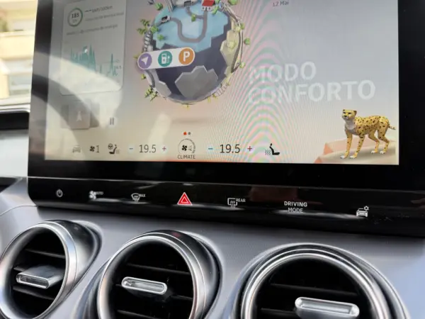 Smart #3 Pro 19