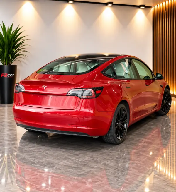 Tesla Model 3 Standard RWD 3