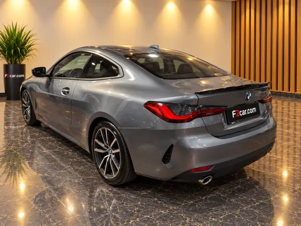 BMW 420 d Advantage Auto 5