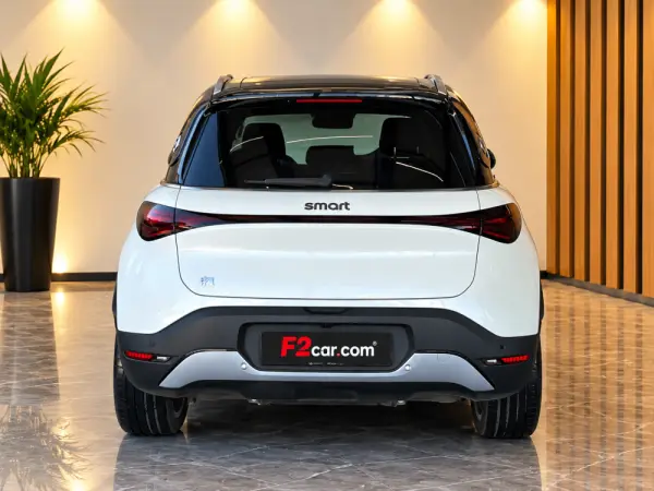 Smart #1 66 kWh Pro+ 4