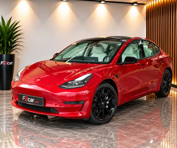 Tesla Model 3 Standard RWD 1