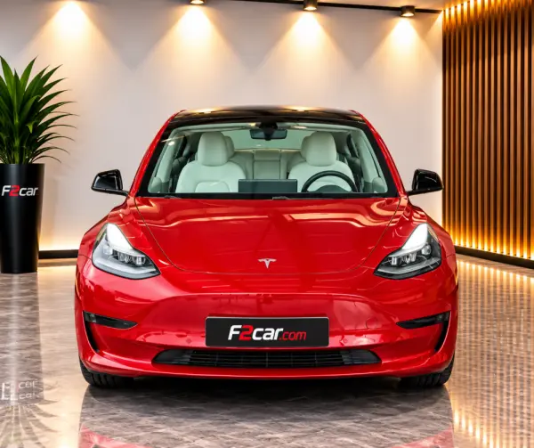 Tesla Model 3 Standard RWD 2