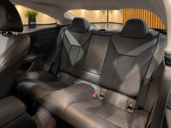 BMW 420 d Advantage Auto 10