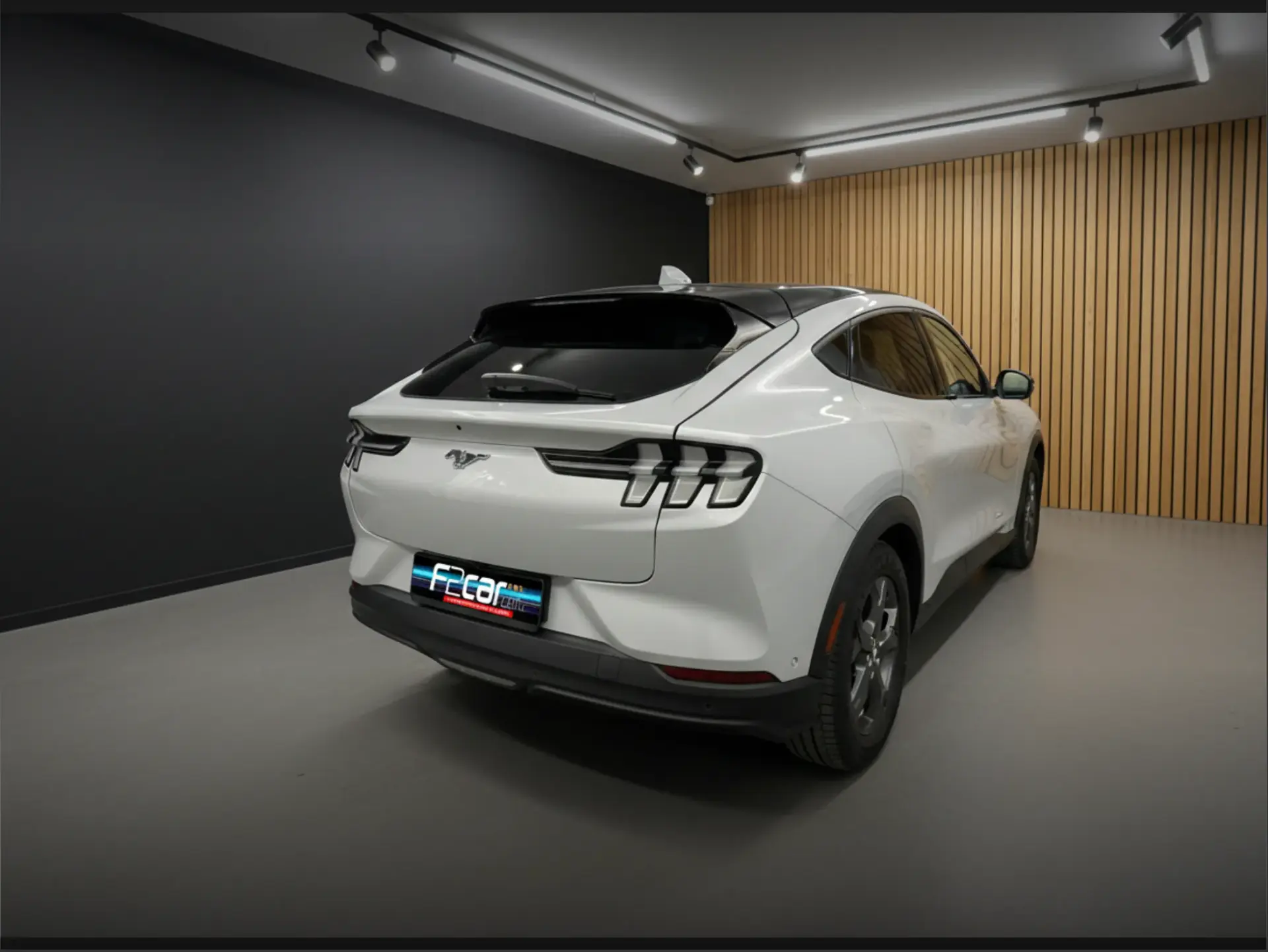 Ford Mustang Mach-E Standard AWD 2