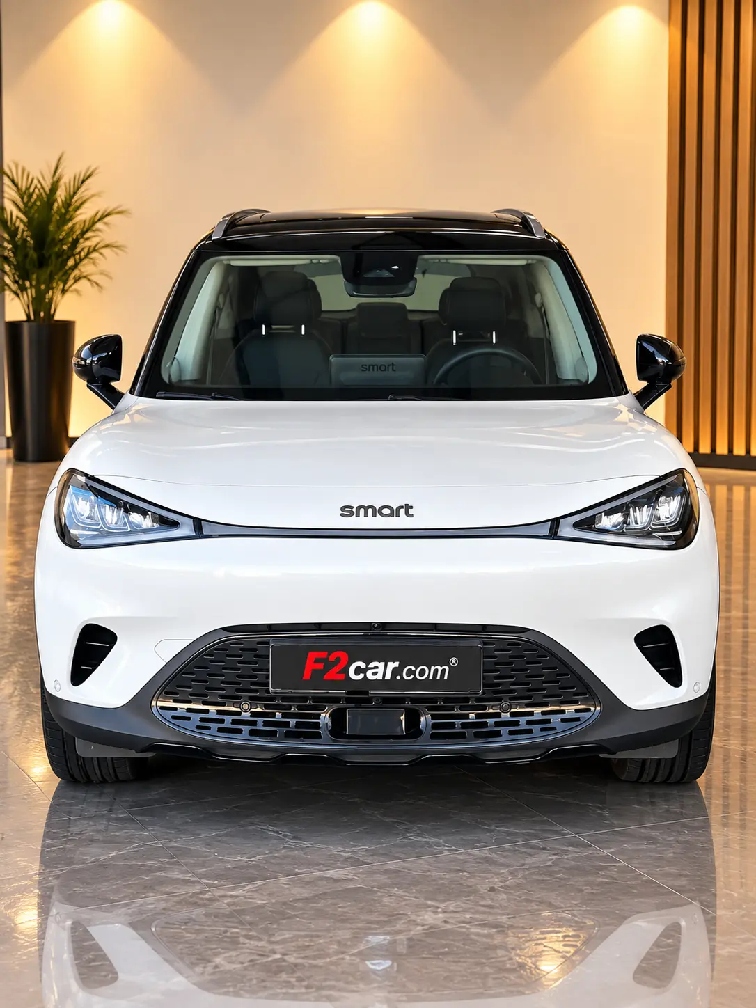 Smart #1 66 kWh Pro+ 2