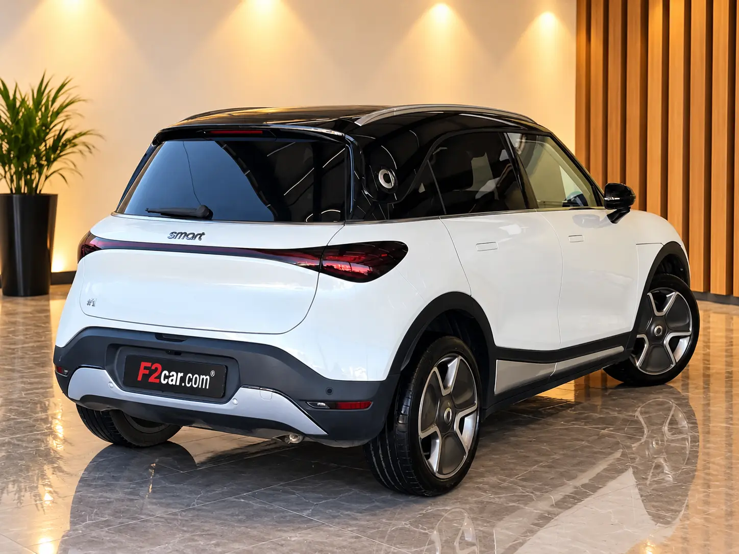 Smart #1 66 kWh Pro+ 3