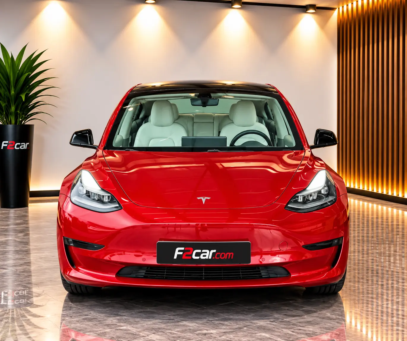 Tesla Model 3 Standard RWD 2