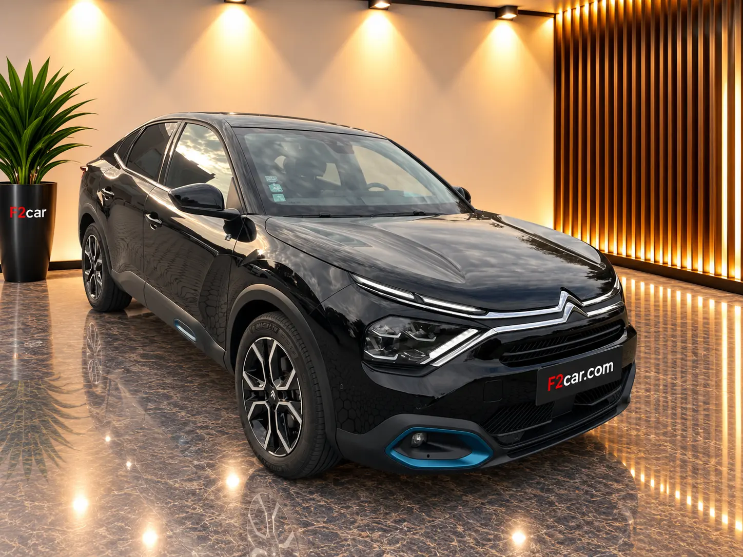 Citroen e-C4 X 50 kWh Shine Pack 2