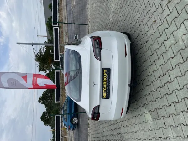 Tesla Model 3 Standard RWD Plus 5