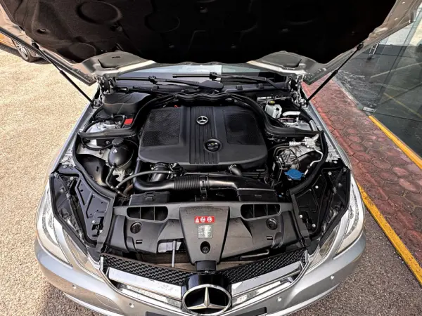 Mercedes-Benz E 220 CDi Avantgarde BlueEfficiency 25