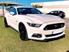Ford Mustang 5.0 Ti-VCT V8 Aut. GT