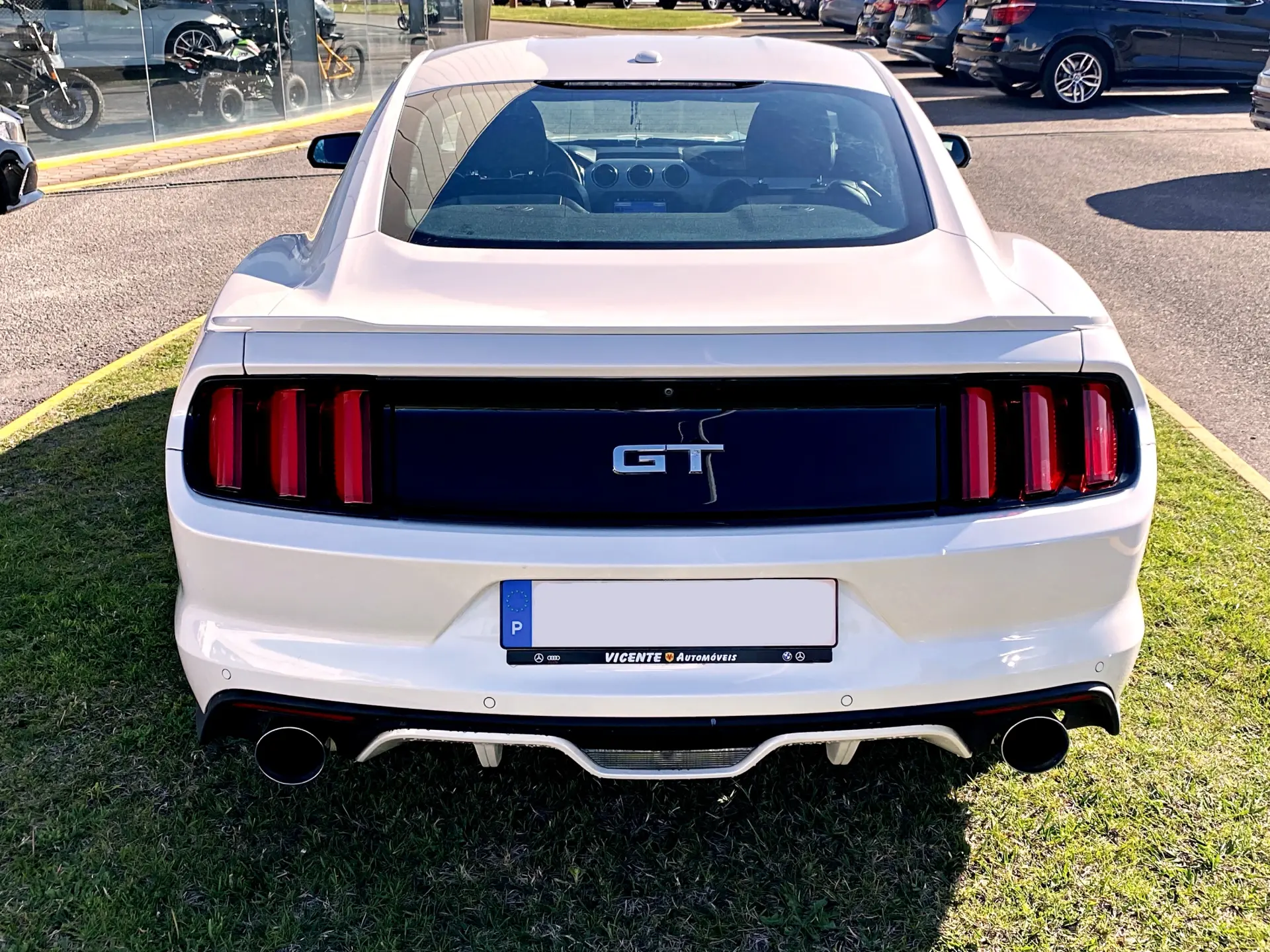 Ford Mustang 5.0 Ti-VCT V8 Aut. GT 14