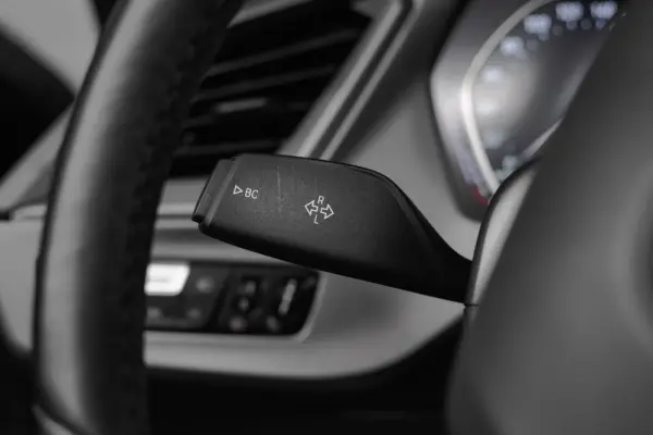 BMW 116 d Advantage Auto 19