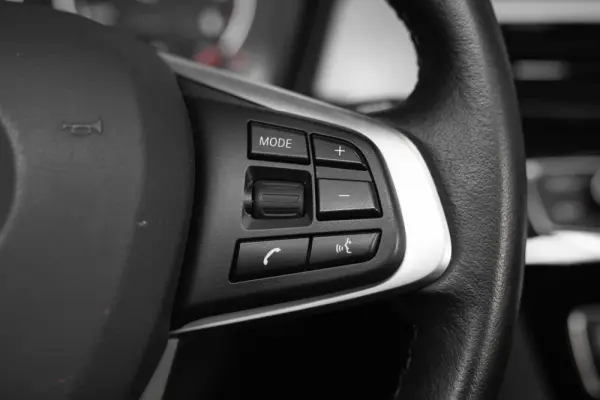BMW X2 16 d sDrive Auto Advantage 10