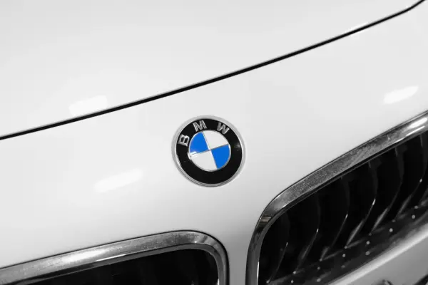 BMW X2 16 d sDrive Auto Advantage 18