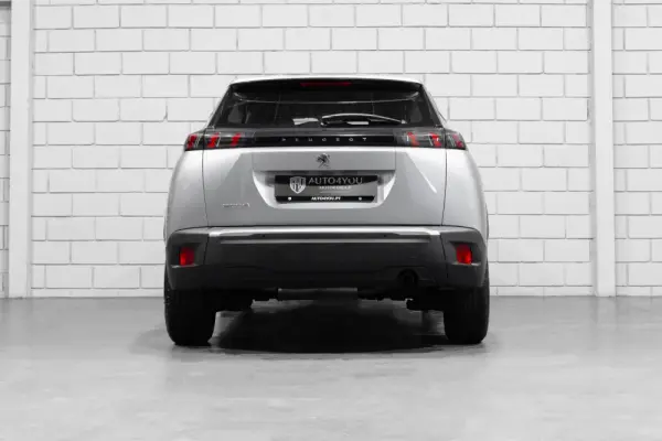 Peugeot 2008 1.2 PureTech Active Pack 28