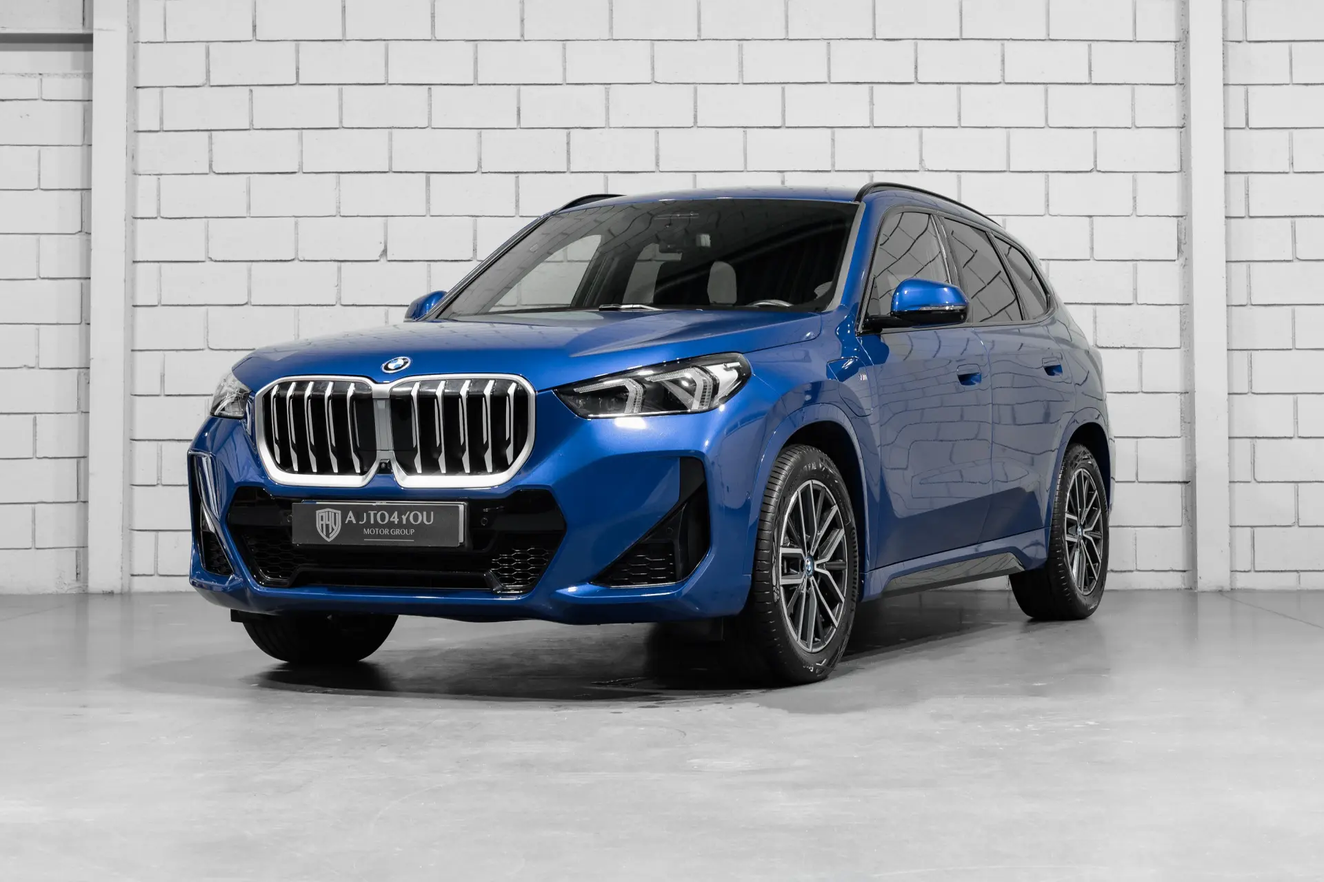 BMW X1 xDrive25e Pack Desportivo M 1