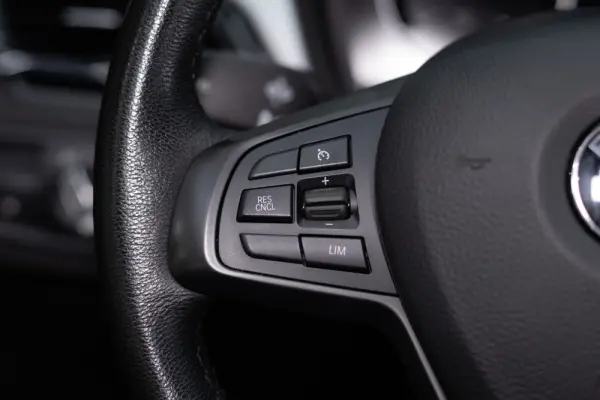 BMW X1 16 d sDrive Line Sport Auto 30