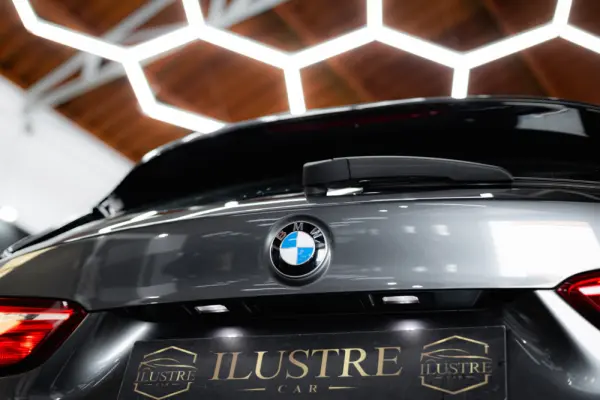 BMW X1 16 d sDrive Line Sport Auto 12