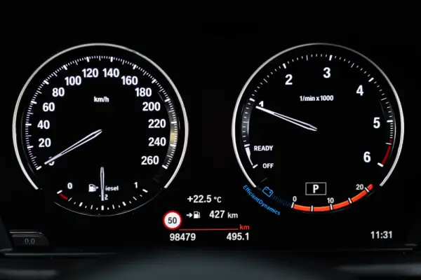 BMW X1 16 d sDrive Advantage Auto 48