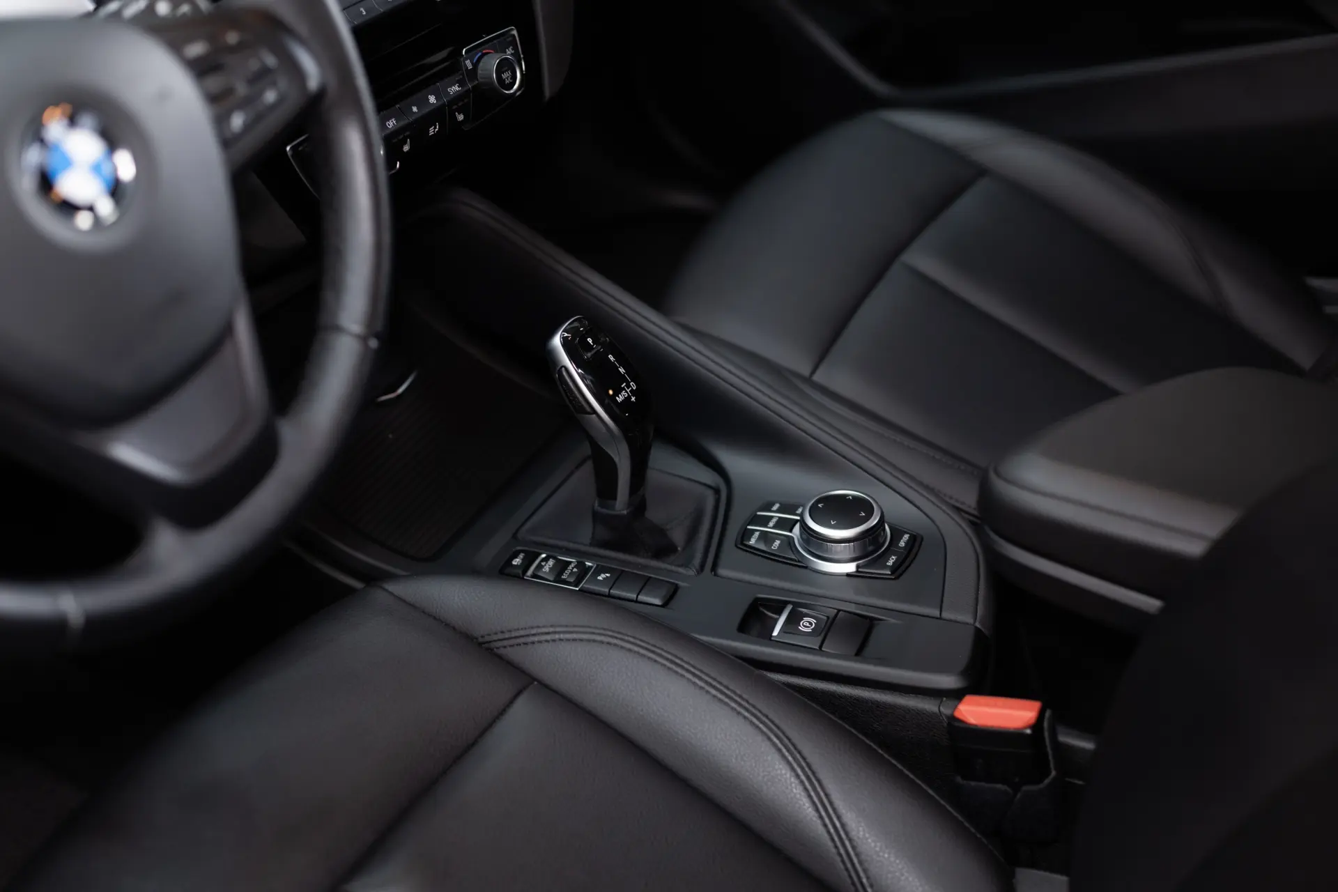 BMW X1 16 d sDrive Line Sport Auto 41