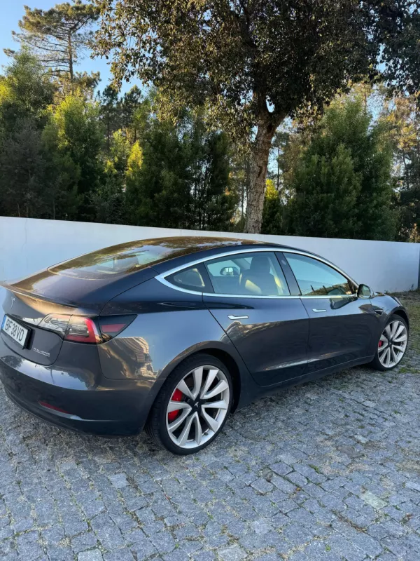 Tesla Model 3 Performance Dual Motor AWD (2018-2021) 7