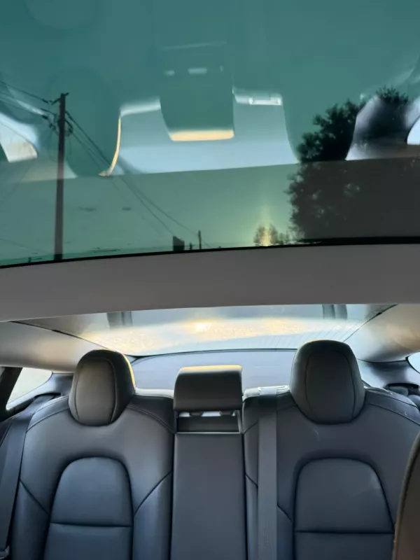 Tesla Model 3 Performance Dual Motor AWD (2018-2021) 9