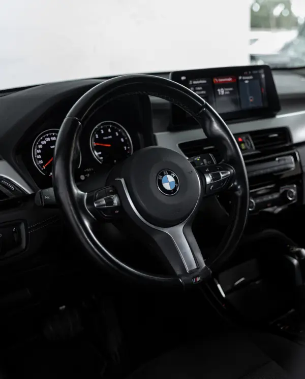 BMW X2 25 e xDrive 11