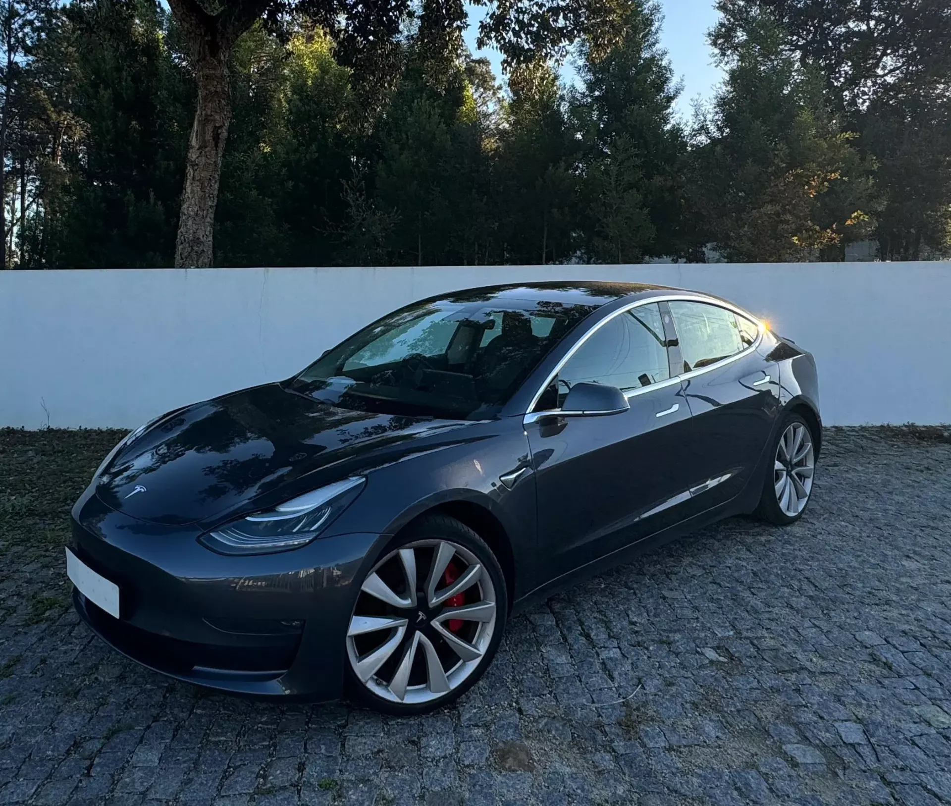 Tesla Model 3 Performance Dual Motor AWD (2018-2021) 6