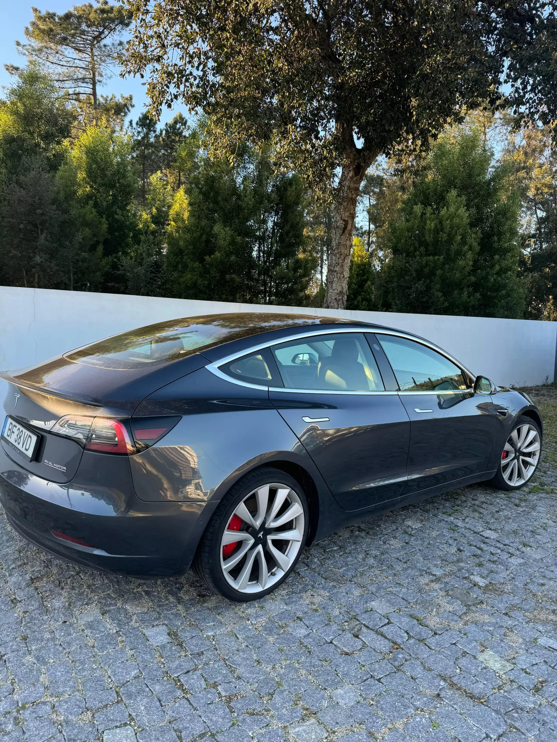 Tesla Model 3 Performance Dual Motor AWD (2018-2021) 7
