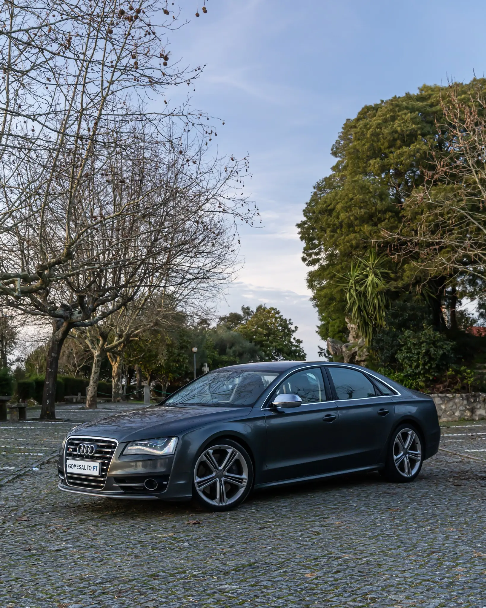 Audi S8 Standard 2
