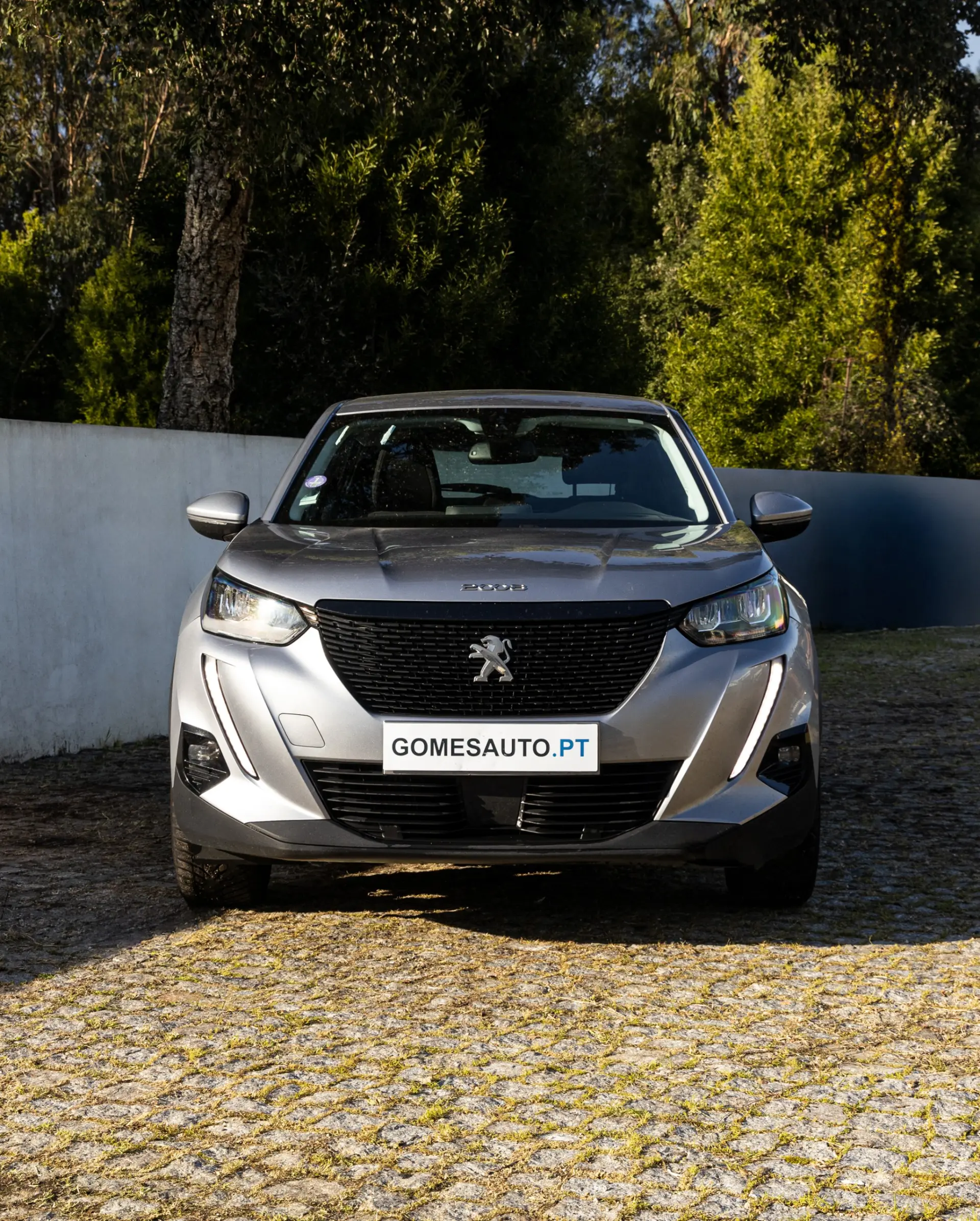 Peugeot 2008 1.2 PureTech Style EAT6 3
