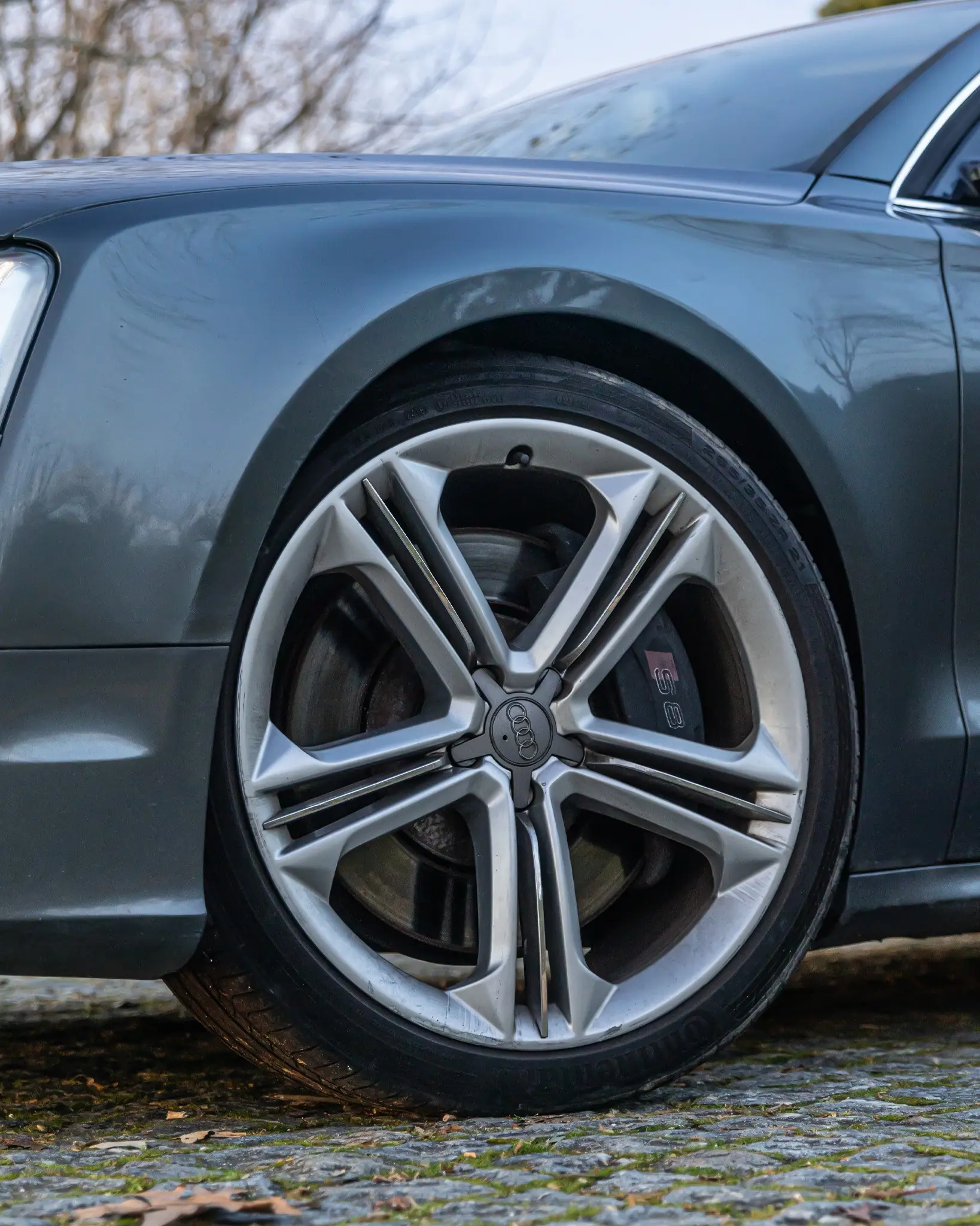 Audi S8 Standard 4
