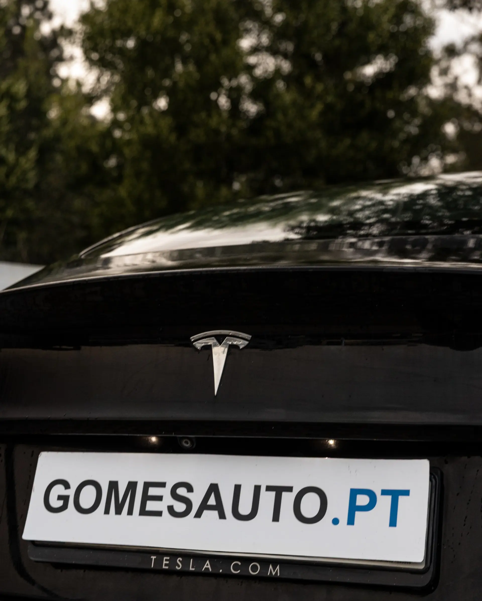 Tesla Model 3 Long Range Tração Integral 7