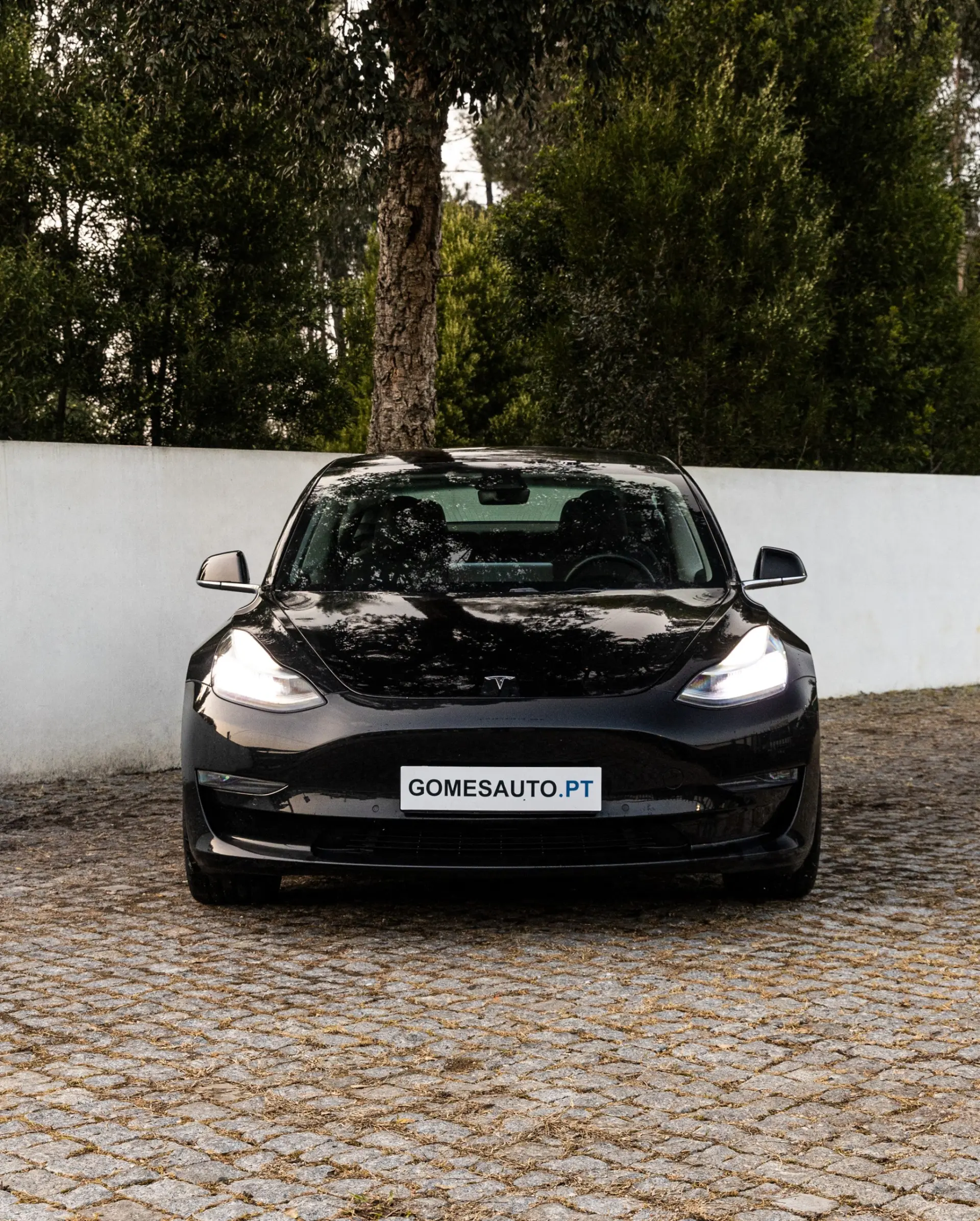 Tesla Model 3 Long Range Tração Integral 3